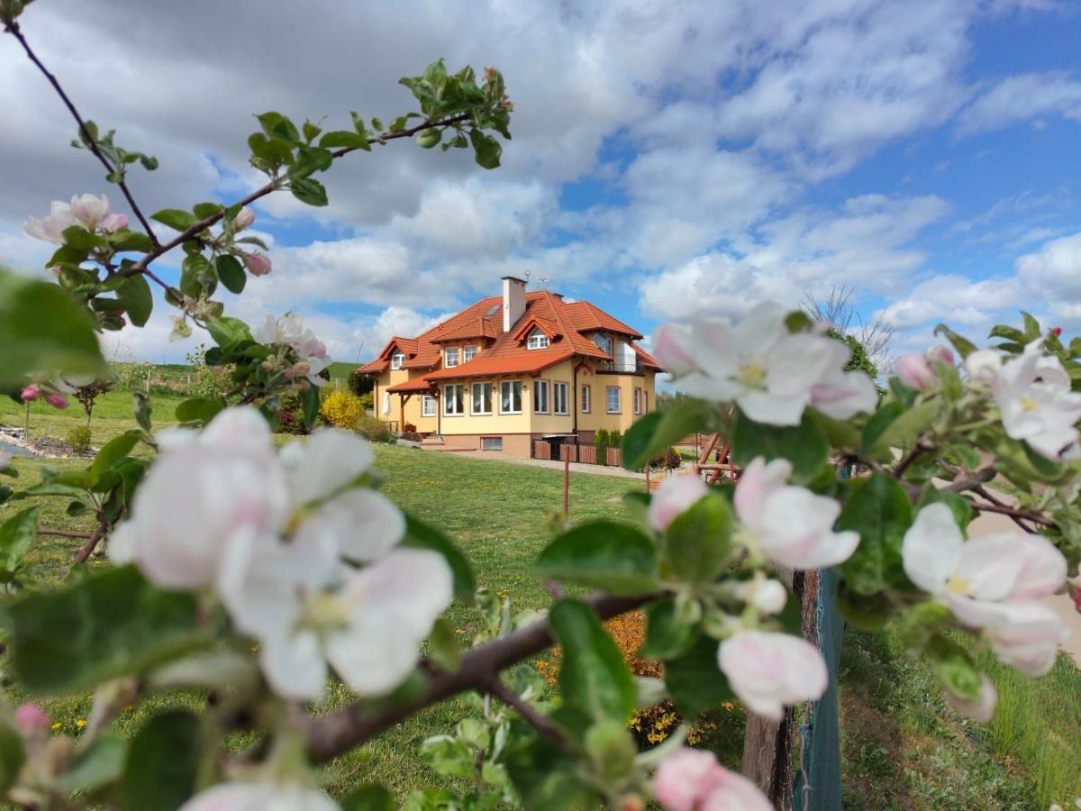 Agroturystyka "Pod Ptasia Gora" Golubie Exterior photo
