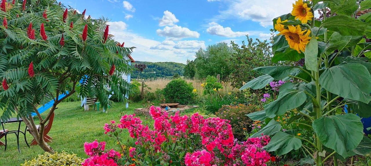 Agroturystyka "Pod Ptasia Gora" Golubie Exterior photo